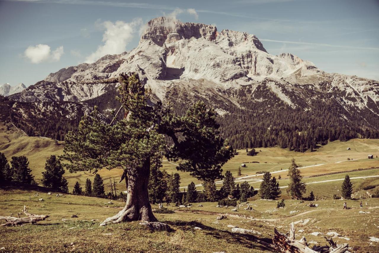 ホテル Garni Bergblick ブラーイエス エクステリア 写真